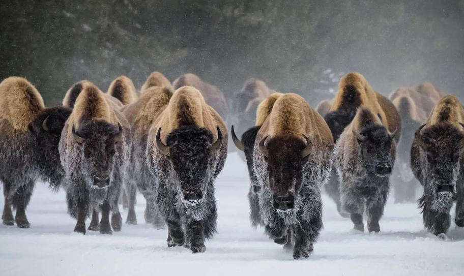 致富小项目平台轮播图2